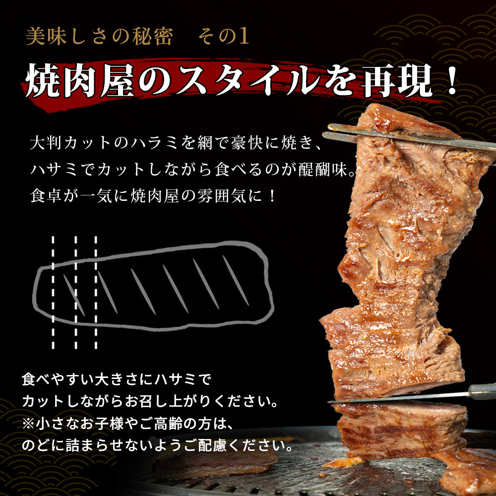 肉匠中むら ドラゴンハラミ 500g×1pc
