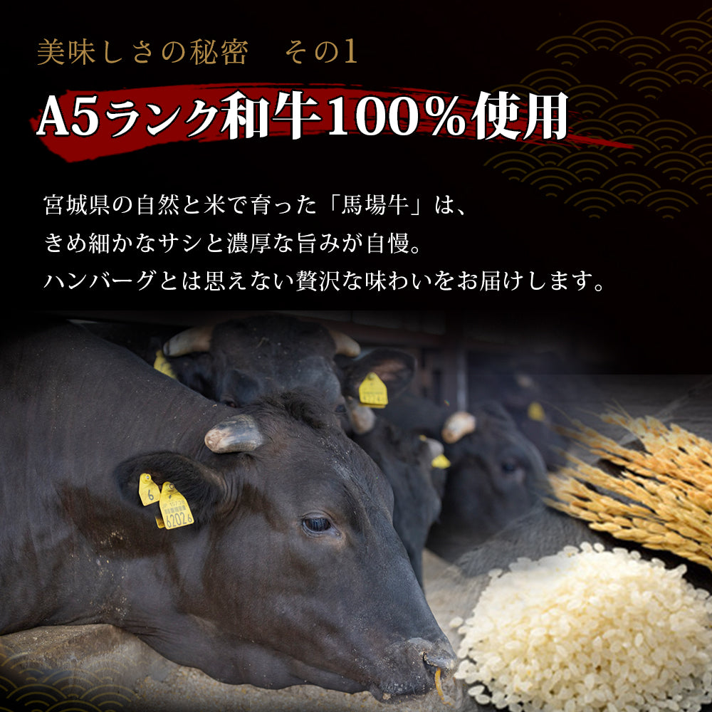 よくばりセット 1kg|たっぷり牛タン塩500g・馬場牛ハンバーグ5個