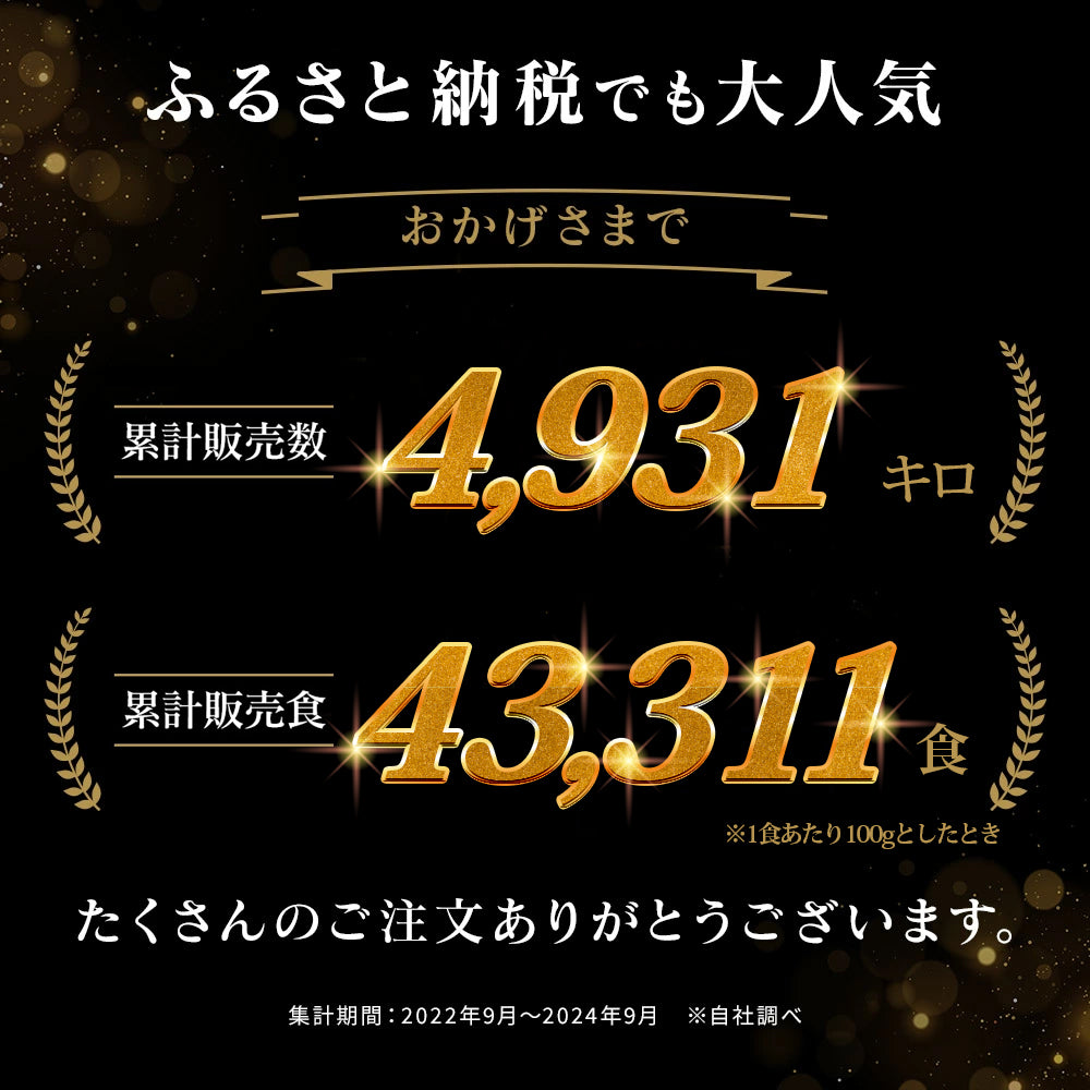 馬場牛ハンバーグ 100g×10個
