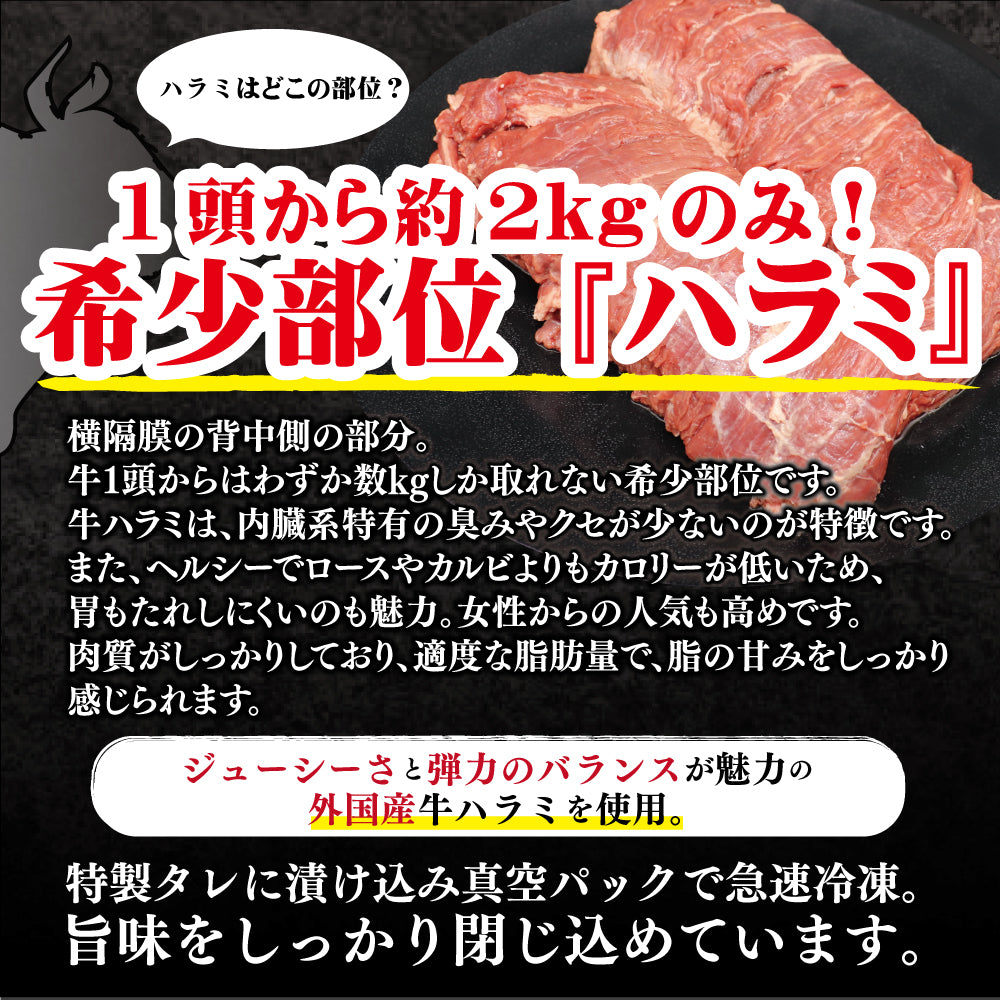 牛ハラミ | 肉匠中むら監修 ドラゴンハラミ | 500g