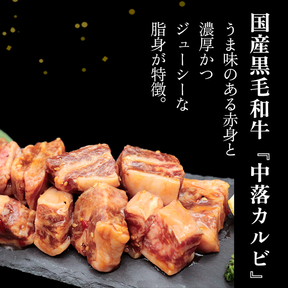 【バレンタイン早割セール15％OFF！2/9迄】焼肉 | NikujU焼肉セット | 1.3kg