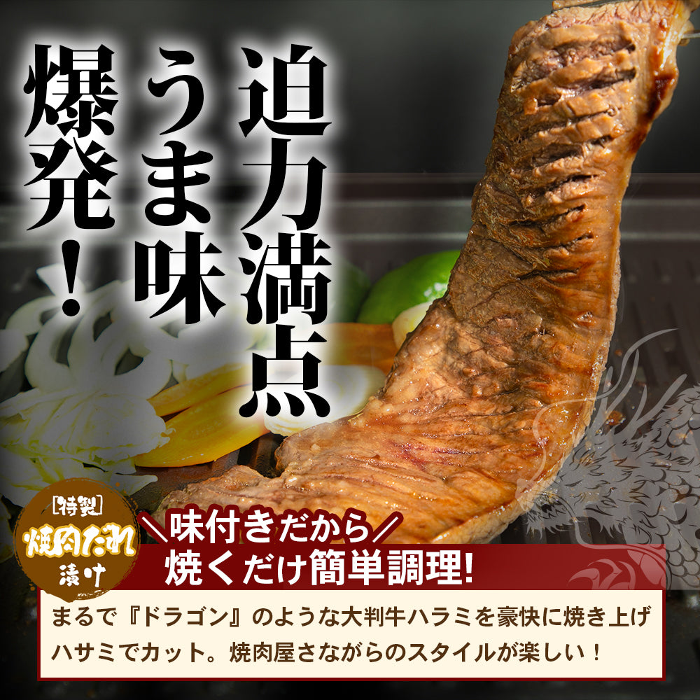 肉匠中むら ドラゴンハラミ 500g×1pc – 肉の匠 中むら屋