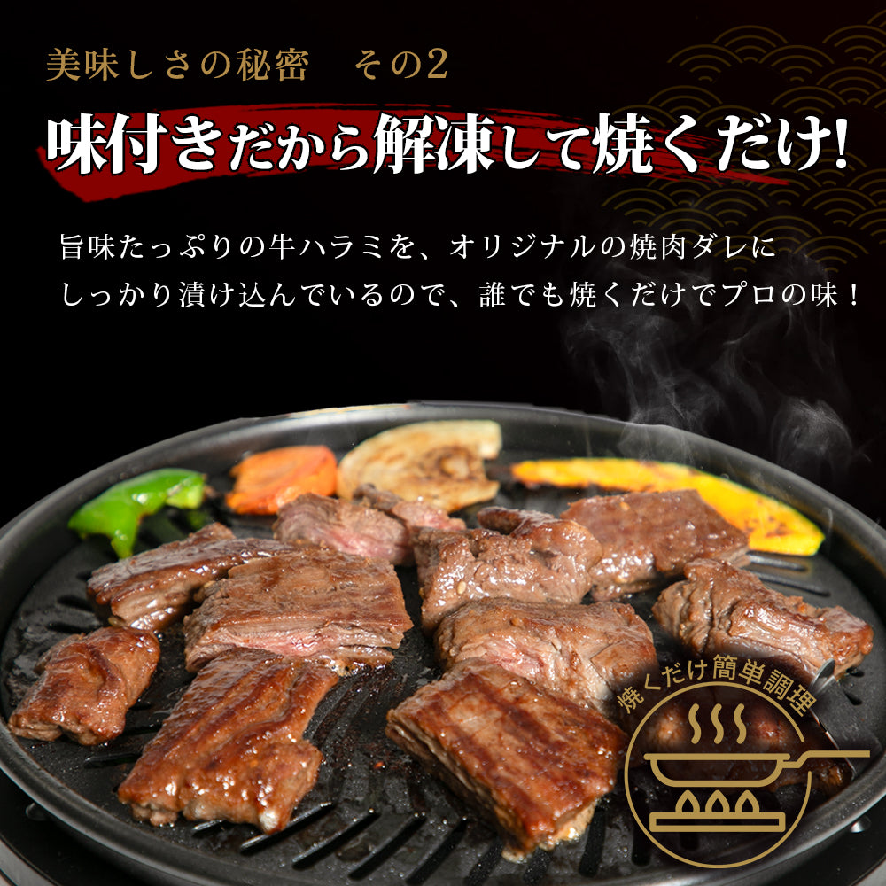 肉匠中むら ドラゴンハラミ 500g×1pc – 肉の匠 中むら屋