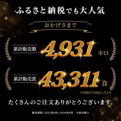 馬場牛ハンバーグ 100g×10個