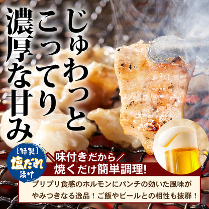 たっぷり牛ホルモン にんにく塩味 500g×1pc